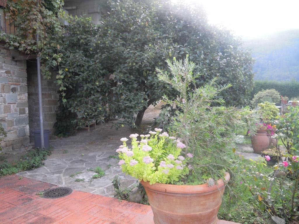 Bel Panorama Tre Pension Pelago Buitenkant foto